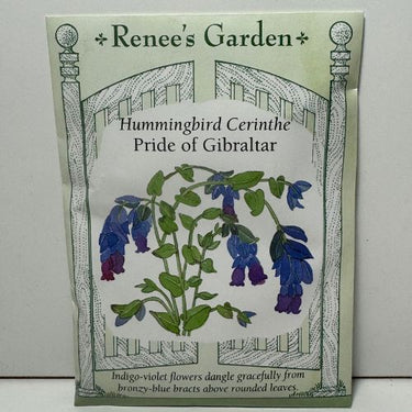 Pride of Gibraltar Cerinthe Seeds Flower, Heirloom